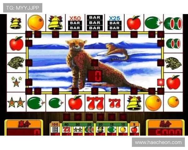 专家分享老虎机现金游戏中的策略与心得