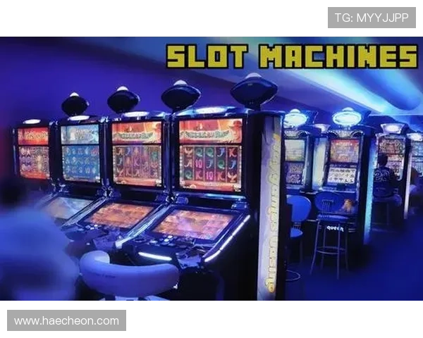 分析Wild老虎机的奖金机制，帮助玩家合理规划投注策略实现盈利